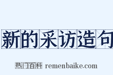 新的采访造句是什么意思的图片